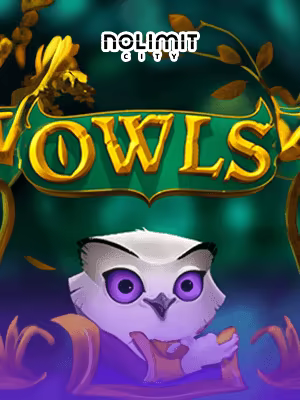 Banner game casino champion FKGDGZ